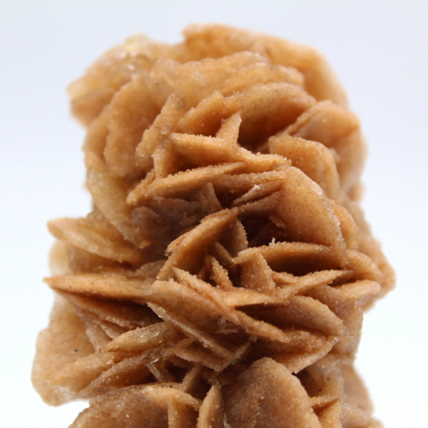 Rosa di sabbia fossile dalla Tunisia