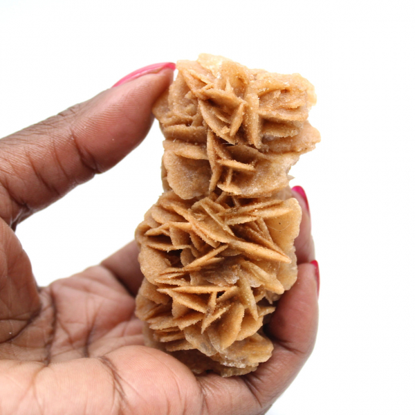 Rosa di sabbia fossile dalla Tunisia