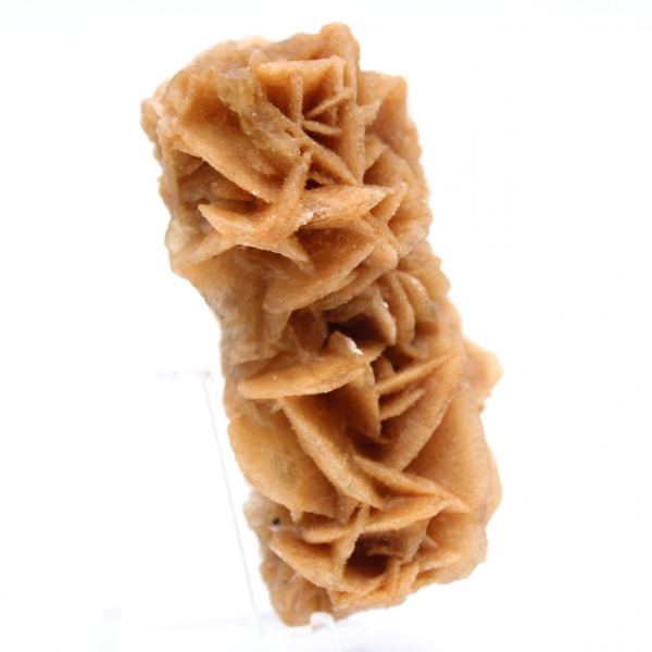 Sabbia minerale naturale rosa Tunisia