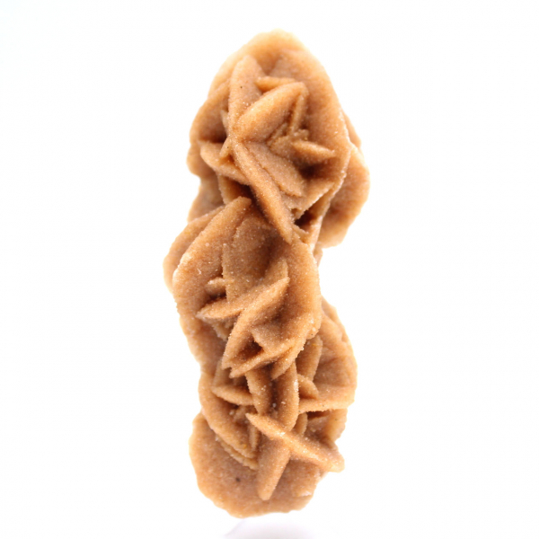 Collezione Rose des sables dalla Tunisia