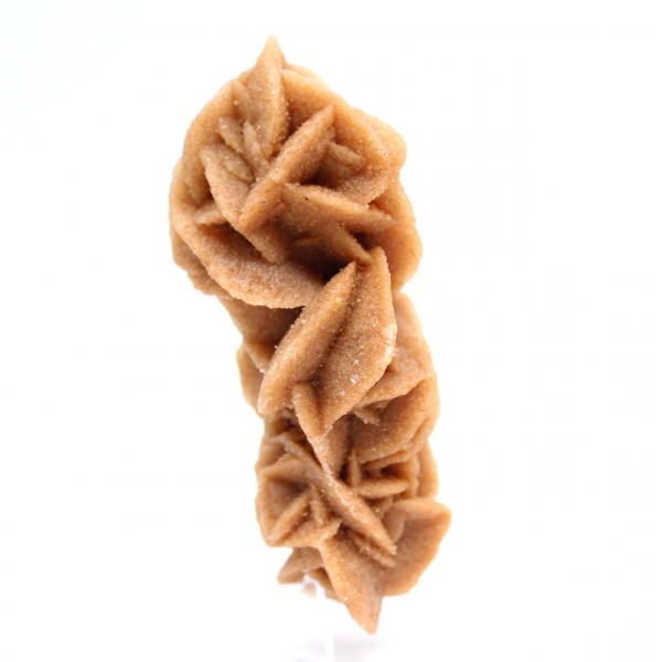 Collezione Rose des sables dalla Tunisia