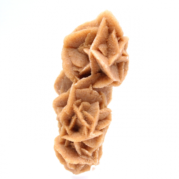 Collezione Rose des sables dalla Tunisia