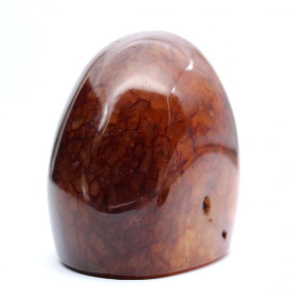 Corniola lucidata autentica per collezione e decorazione - Ornamento dal Madagascar