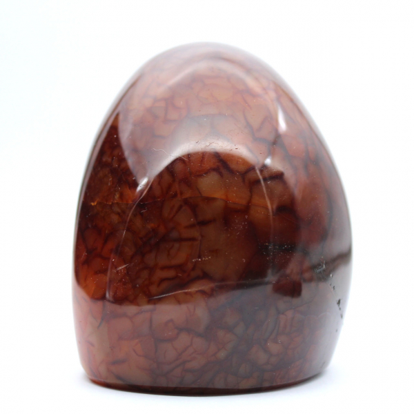 Corniola lucidata autentica per collezione e decorazione - Ornamento dal Madagascar