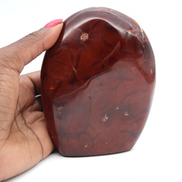 Ornamento di qualità in corniola lucidata - Minerale naturale da collezione (Madagascar)