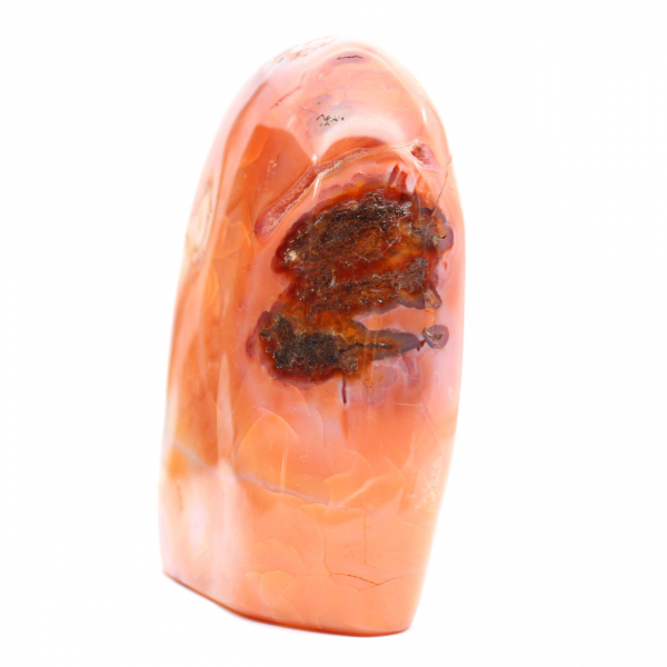 Grande corniola lucidata del Madagascar - Esemplare minerale rosso-arancio per collezione e decorazione