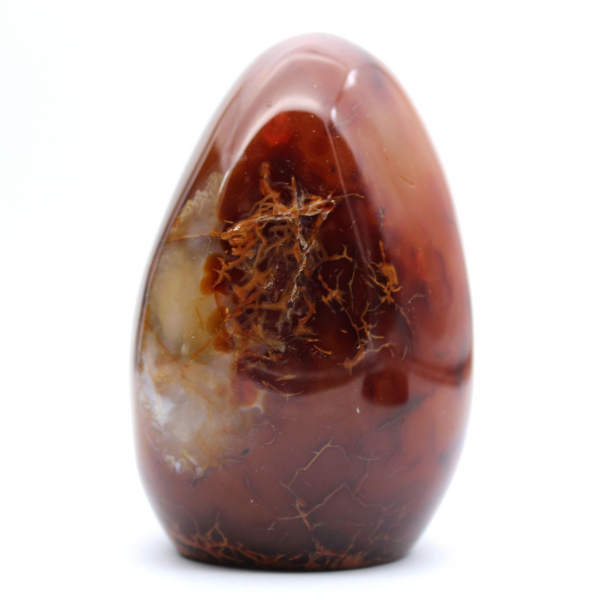 Autentico ornamento in corniola lucidata del Madagascar - Minerale decorativo e da collezione