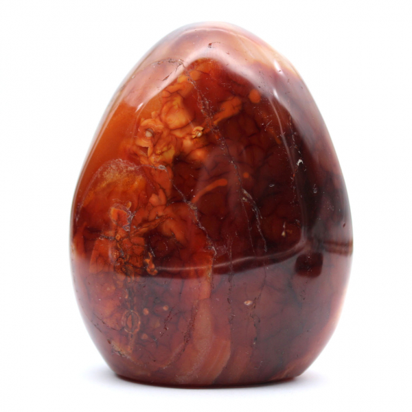 Corniola del Madagascar lucidata - Pietra naturale ideale per decorazione e collezione (ornamento)
