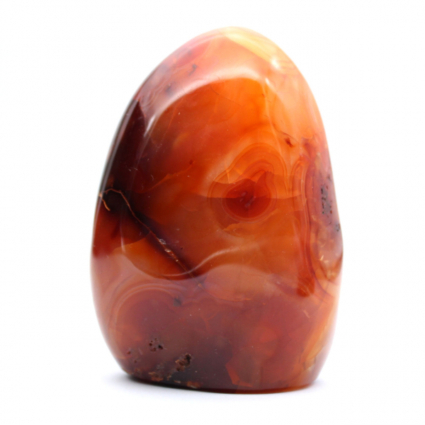 Pietra naturale di corniola lucidata - Ornamento decorativo da collezione (Madagascar)