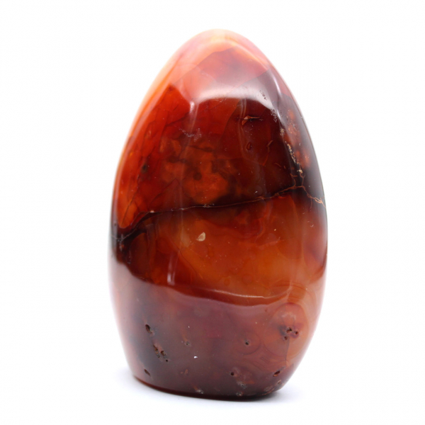 Pietra naturale di corniola lucidata - Ornamento decorativo da collezione (Madagascar)