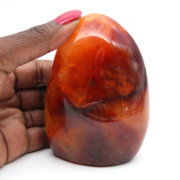 Pietra naturale di corniola lucidata - Ornamento decorativo da collezione (Madagascar)