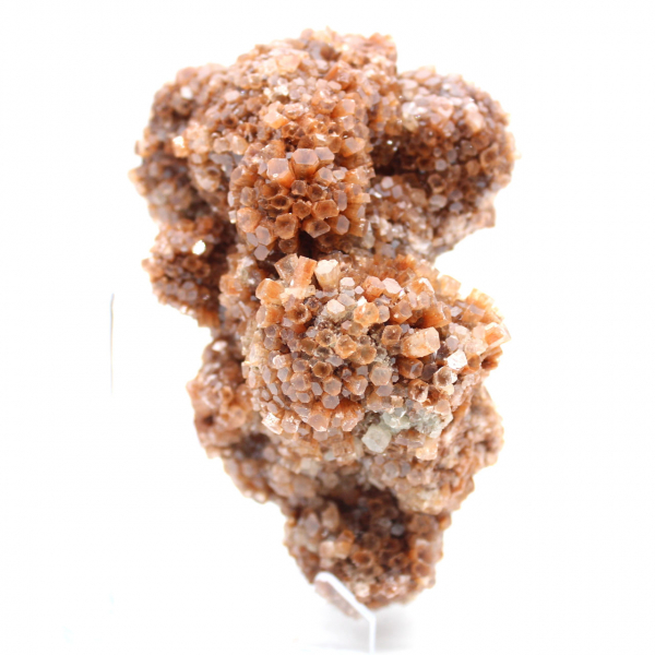 Aragonite marocchina in cristalli marroni