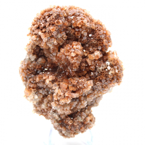Aragonite marocchina in cristalli marroni