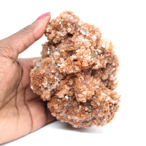 Aragonite marocchina in cristalli marroni