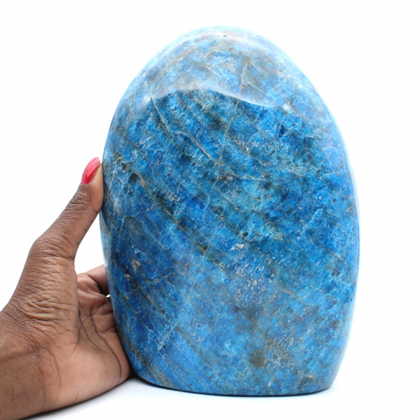 Grande apatite lucidata, esemplare decorativo, pietra naturale del Madagascar