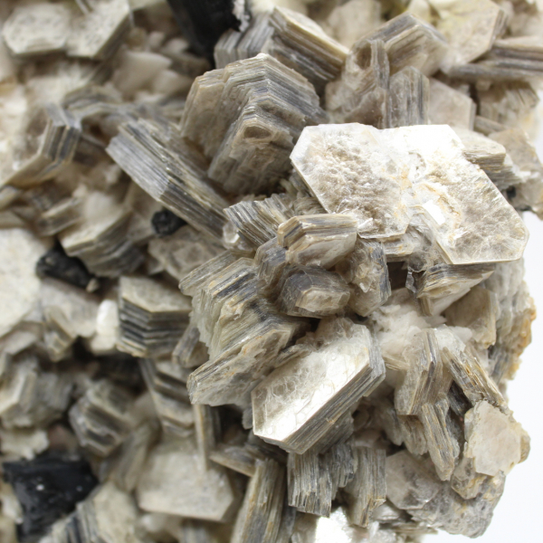 Mica e tormalina su quarzo bianco dall'Afghanistan