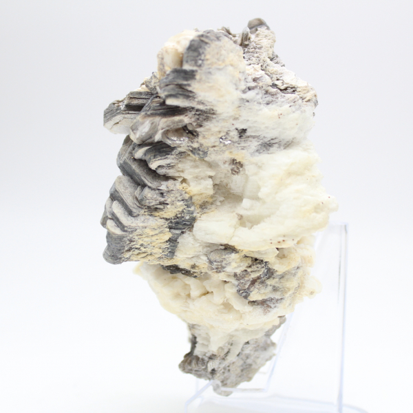 Mica cristallizzata su quarzo bianco dall'Afghanistan