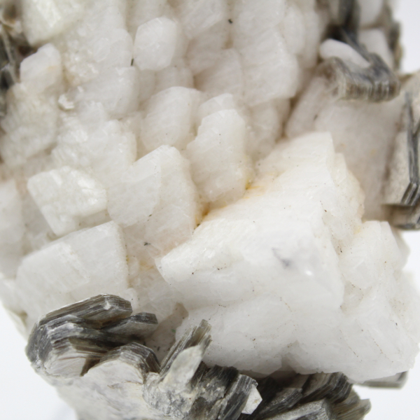 Piccolo esemplare di mica su quarzo bianco