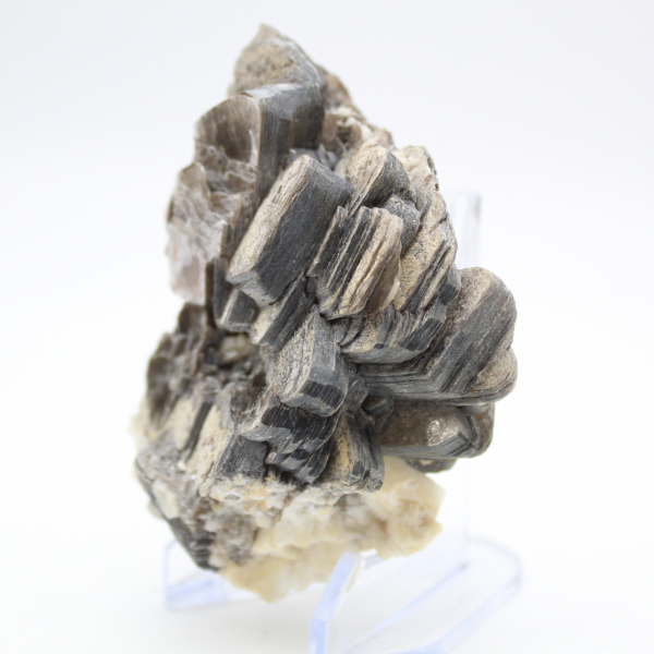 Mica e tormalina nera su quarzo, Afghanistan