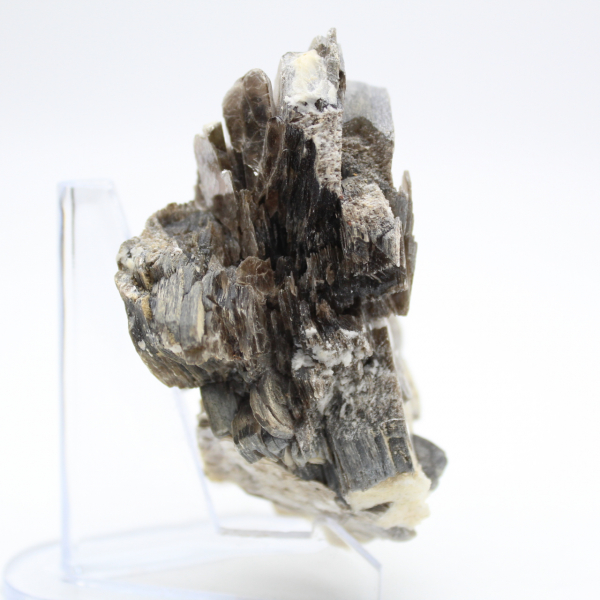 Mica e tormalina nera su quarzo, Afghanistan