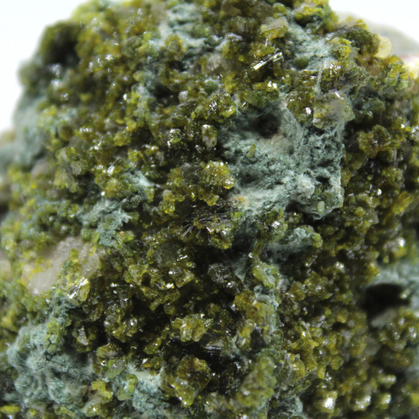 Cristalli di epidoto verde dal Marocco su roccia ospite