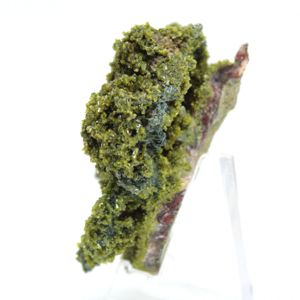 Epidoto marocchino su matrice trasparente