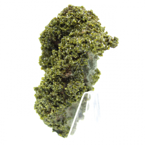 Cristalli di epidoto dal Marocco su matrice beige