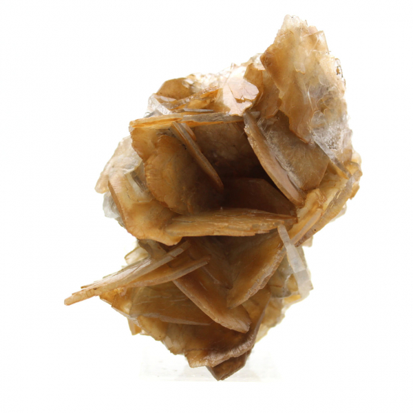 Barite marrone marocchina (da collezione)