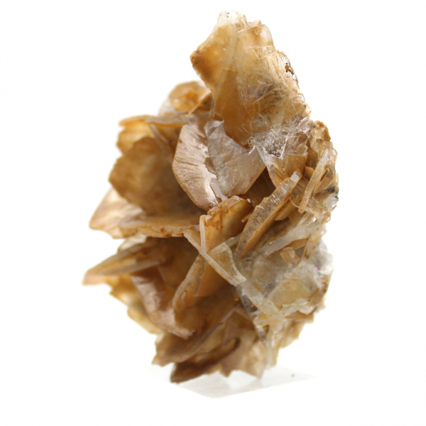 Barite marrone marocchina (da collezione)