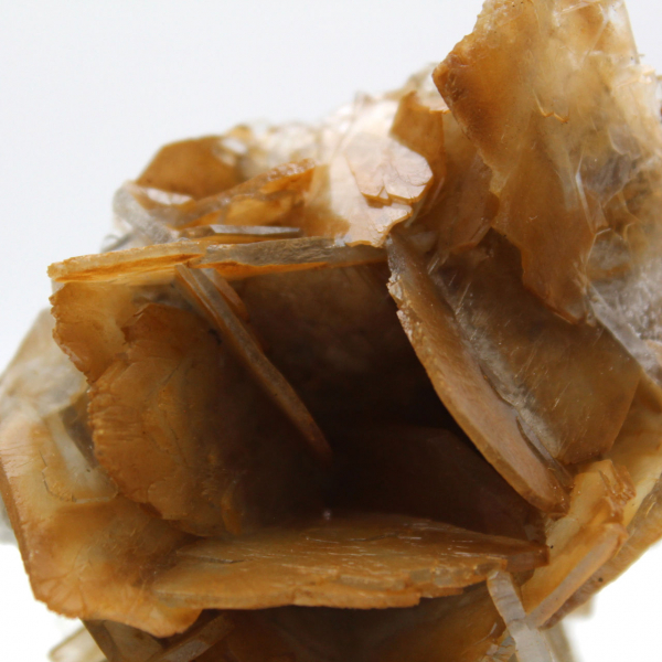 Barite marrone marocchina (da collezione)
