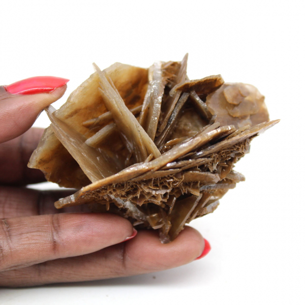 Barite marocchina naturale con cristalli fini