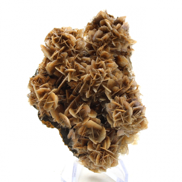 Barite marrone traslucida dal Marocco