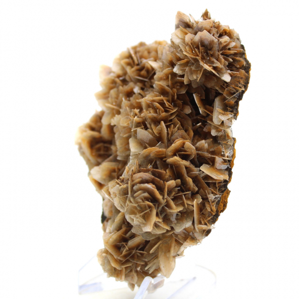 Barite marrone traslucida dal Marocco