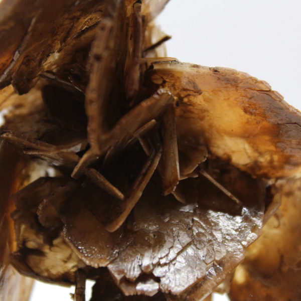 Microcristalli di barite dal Marocco