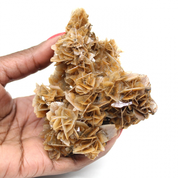 Barite marocchina dalla struttura fine
