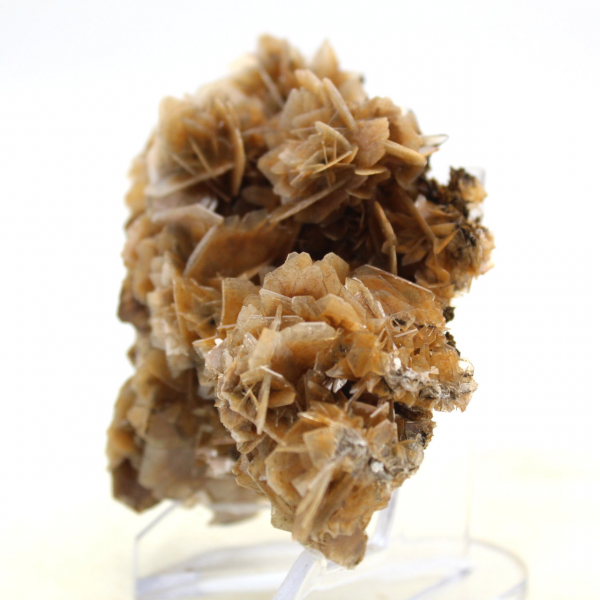 Barite marocchina dalla struttura fine