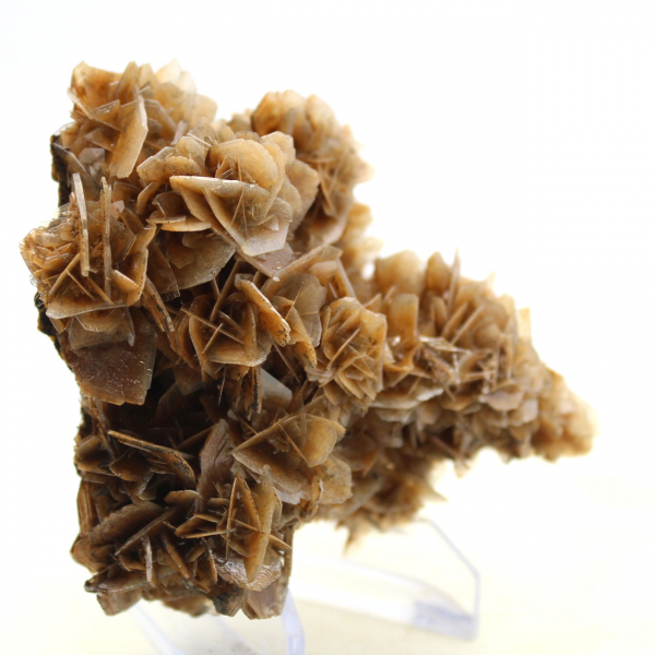 Barite marocchina dalla struttura fine