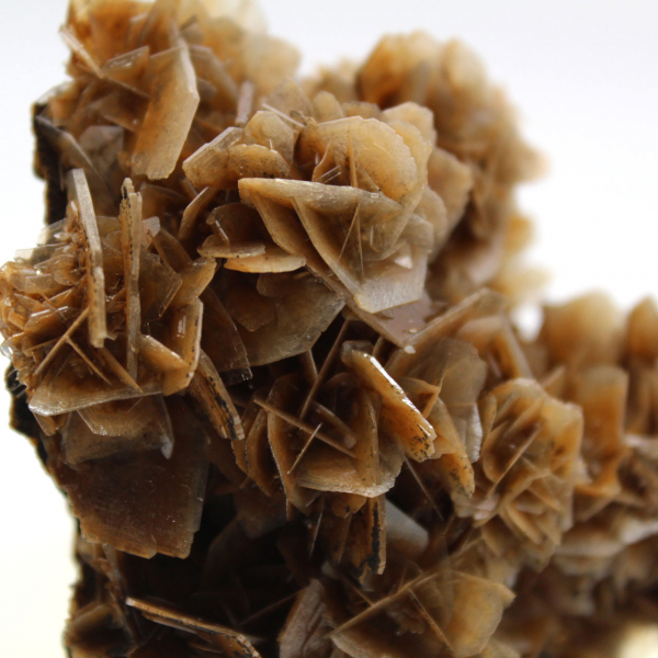 Barite marocchina dalla struttura fine