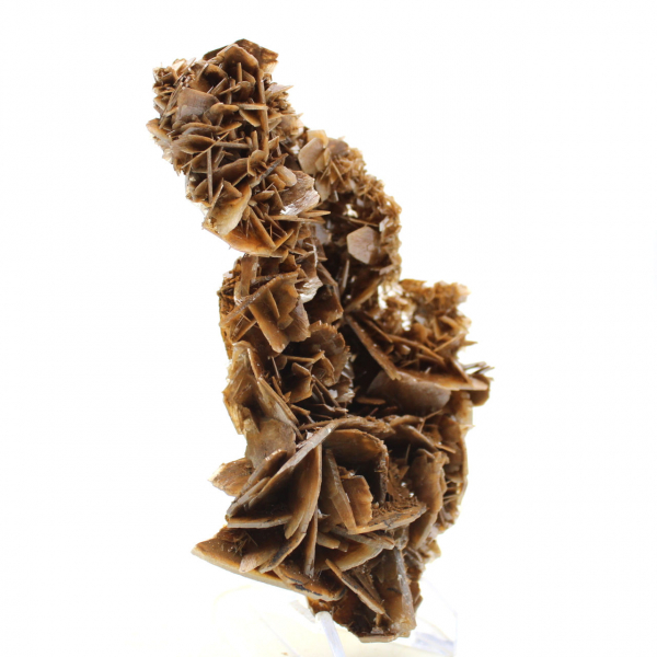 Cristalli dorati di barite marocchina