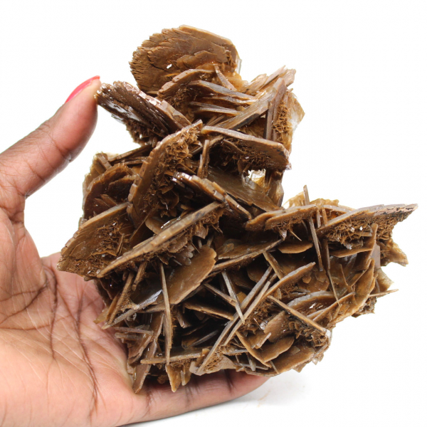 Barite marrone cristallizzata dal Marocco