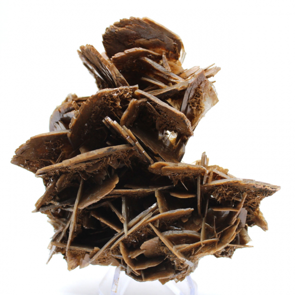 Barite marrone cristallizzata dal Marocco