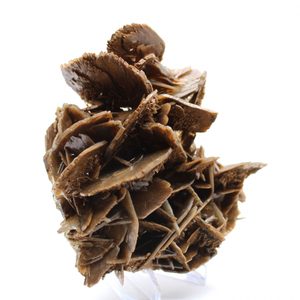 Barite marrone cristallizzata dal Marocco