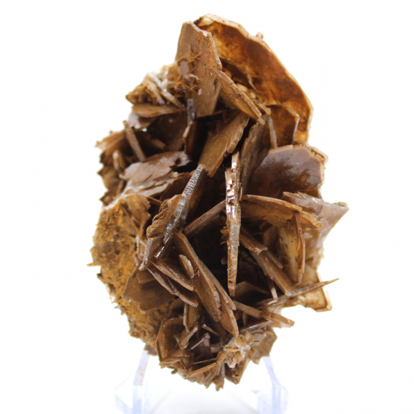 Cristallizzazione marrone della barite dal Marocco