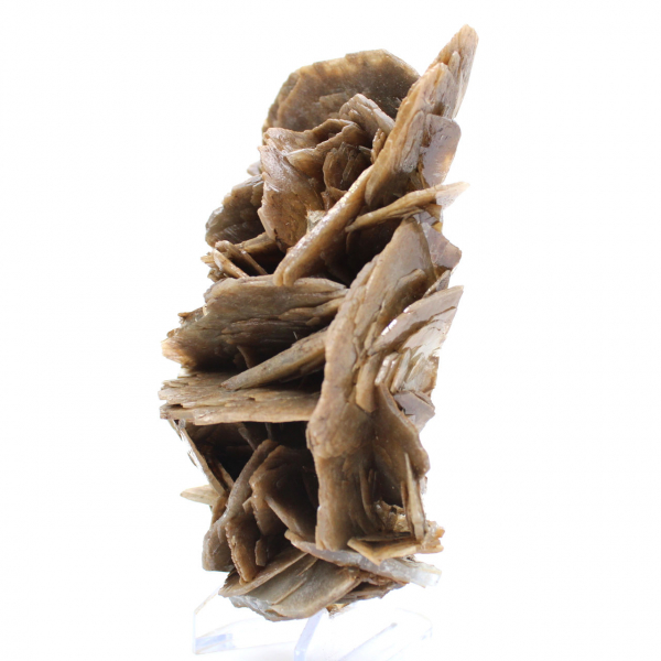 Cristalli di barite marrone dal Marocco