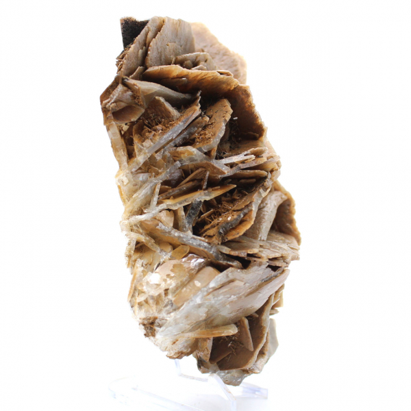 Cristalli di barite marrone dal Marocco