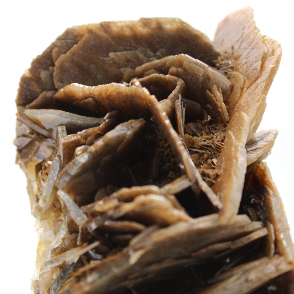 Cristalli di barite marrone dal Marocco