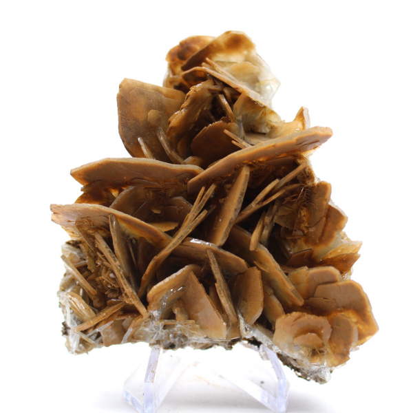 Cristalli marroni di barite da Ouichane