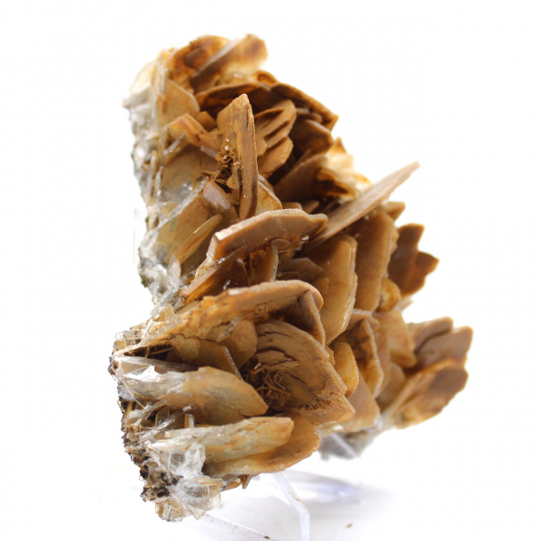 Cristalli marroni di barite da Ouichane