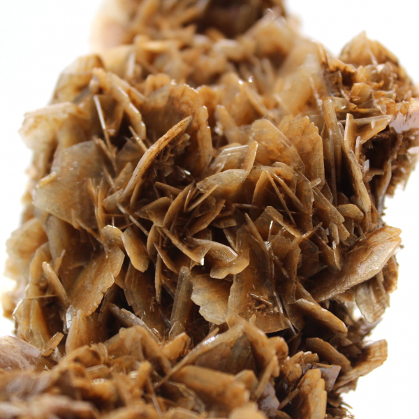 Moneta marocchina in barite con cristalli marroni