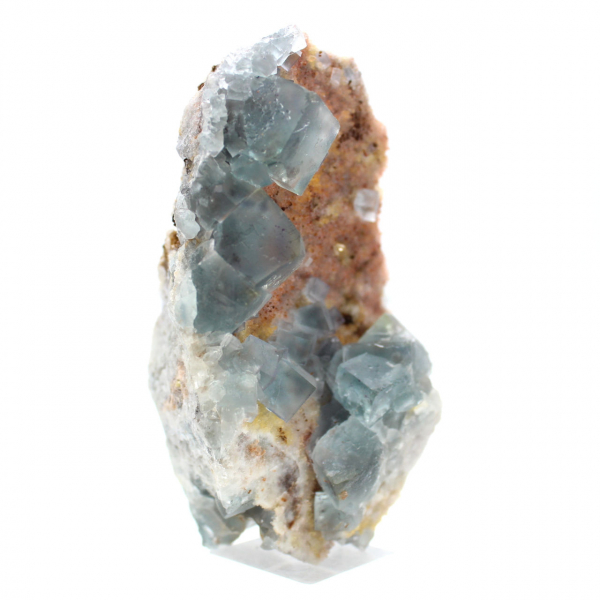 Fluorite verde naturale: campione su roccia per la raccolta